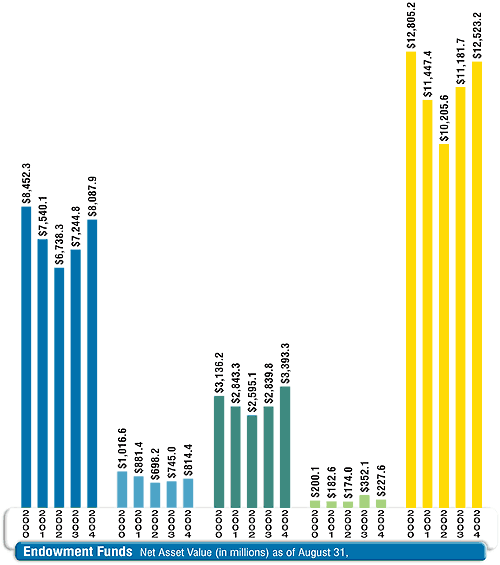 Endowment Funds at a Glance