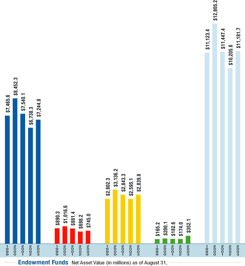 Endowment Funds at a Glance