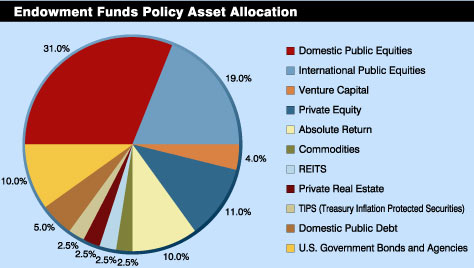 Endowment Funds Policy Asset Allocation